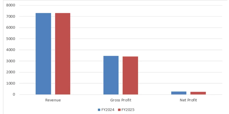 Financial Performance (FY2025 VS FY2024)
